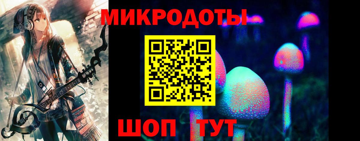 Галлюциногенные грибы Psilocybine cubensis  цены наркотик  Галлюциногенные грибы прущие грибы  Владимир  Вход с VPN 