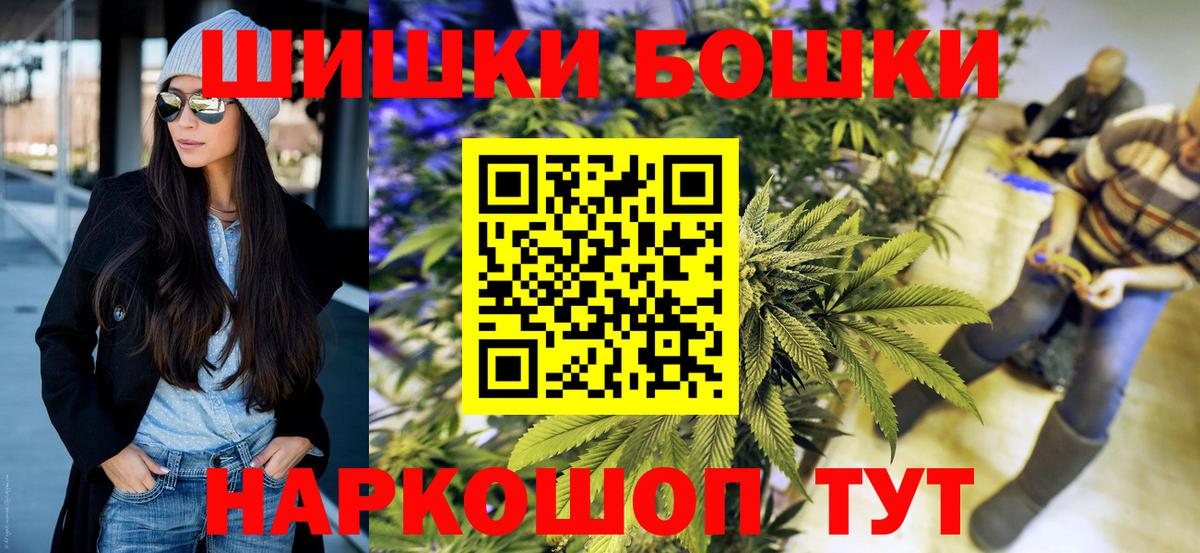 Каннабис индика Владимир